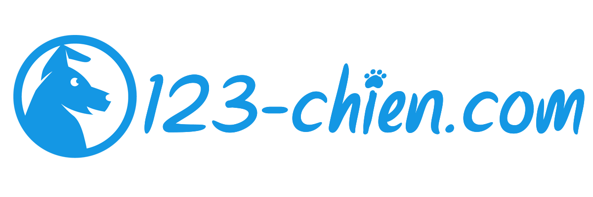 123 chien